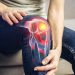 New life for knees Aging joints begin to rejuvenate!