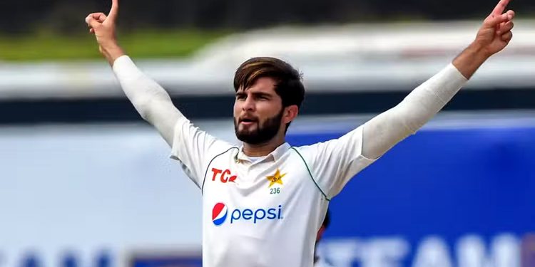 Shaheen Shah Afridi completes 100 wickets in World Test Championship