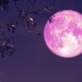 A rare sight will grace the sky on the night of June 29!