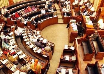 سندھ اسمبلی میں ایم کیو ایم اور پیپلز پارٹی کے ارکان میں تلخ کلامی