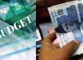 Budget relief or new trial
