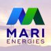Gas supply begins from Mari Energy's Shams-1 discovery