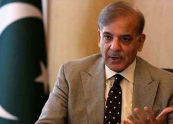 International practical cooperation is essential for environmental protection, says Prime Minister