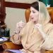 Meeting chaired by Chief Minister Maryam Nawaz reviews wheat and flour situation