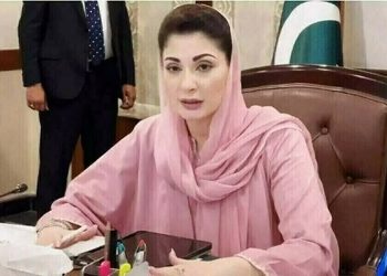 Punjab Chief Minister Maryam Nawaz's farmer-friendly vision, model agriculture mall functional in 4 districts