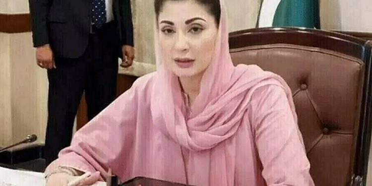 Punjab Chief Minister Maryam Nawaz's farmer-friendly vision, model agriculture mall functional in 4 districts