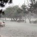 Rain in many cities of Punjab