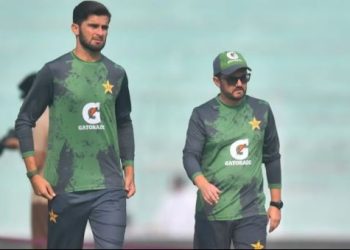 Shaheen Series, Australia ready for battle for survival