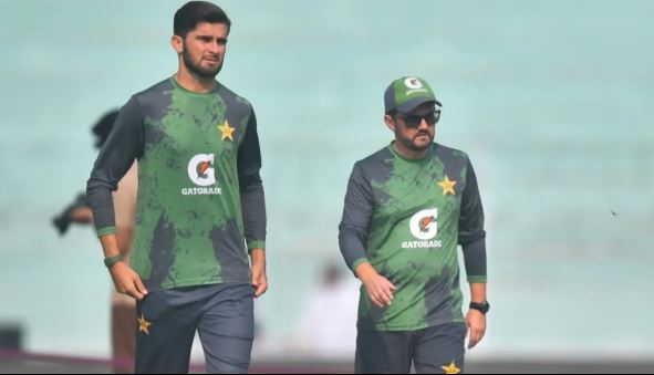 Shaheen Series, Australia ready for battle for survival