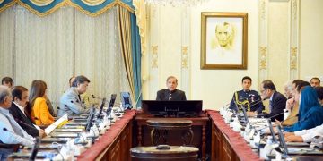 ترکیہ کی کمپنیوں کو سرمایہ کاری کی دعوت دی،وزیراعظم