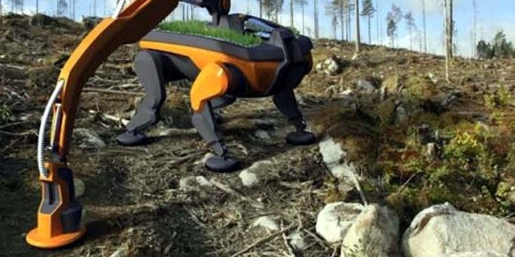 Did AI save millions of date palms from destruction Astonishing technology has been revealed.