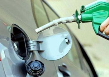 How much tax do the public pay on a liter of petrol