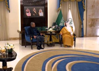 Interior Minister meets Acting Governor of Makkah Region