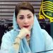 Maryam Nawaz and Mosaddiq Malik meet, agree on early warning system for weather forecasting