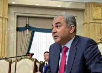 Pakistan's joint efforts for peace are ongoing Interior Minister Mohsin Naqvi.