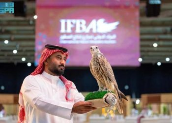 Saudi Arabia New rules for buying and selling falcons implemented
