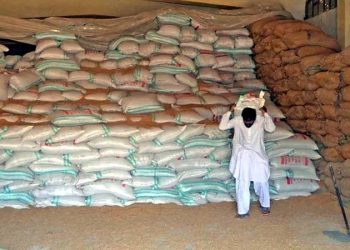 Sindh government decides to take strict action against wheat hoarders.
