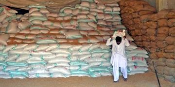 Sindh government decides to take strict action against wheat hoarders.