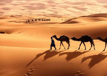 The seventh holy city of Islam hidden in the heart of the Sahara.