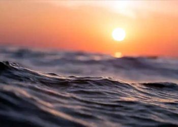 Warning! The oceans are sounding the alarm; record-breaking heat has plunged the world into concern.