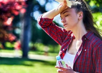 What does the body actually crave in the heat