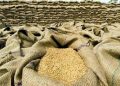 Wheat crisis in Pakistan, prices of bread and naan skyrocketing, people worried