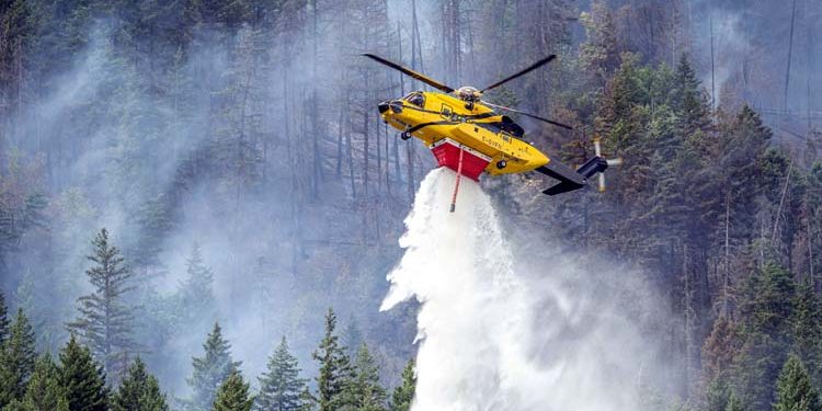 Wildfires in Canadian forests; Trump threatens to raise tariffs on Canada.