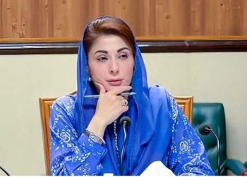 Youth can play a role in national development through professional skills Chief Minister of Punjab.