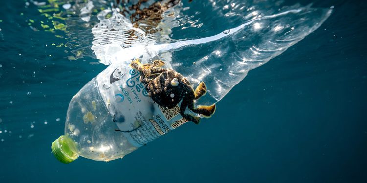1.3 million plastic bottles were removed from oceans and rivers in a single day.