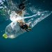 1.3 million plastic bottles were removed from oceans and rivers in a single day.