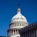 25 US states, including two Republican states, sue Trump administration