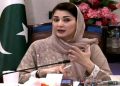 Acting US Ambassador meets Maryam Nawaz
