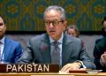 Afghanistan has once again become a safe haven for global terrorist organizations, says Asim Iftikhar.