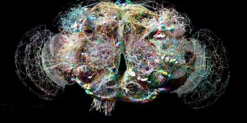 Complete map of a fruit fly's brain created—scientists amazed!