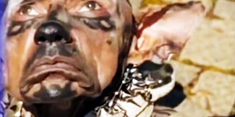 Did a young man spend millions to become a dog What is the truth