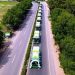 Electric bus service launched in 7 more districts of Punjab.