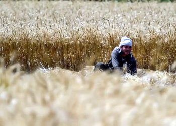 IMF condition Preparations underway to impose income tax on farmers.