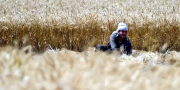 IMF condition Preparations underway to impose income tax on farmers.