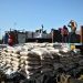 India will import one million tonnes of raw sugar duty-free.