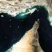 Iran has rejected the US claim regarding the opening of the Strait of Hormuz.