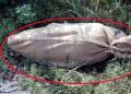 Mutilated body found in three sacks in Karachi.