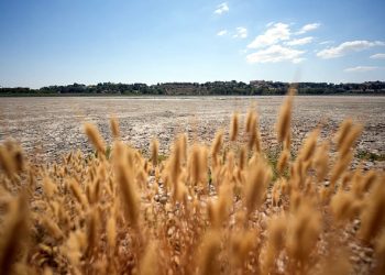 Scorching heat Europe parched, rivers dried up—has climate catastrophe begun