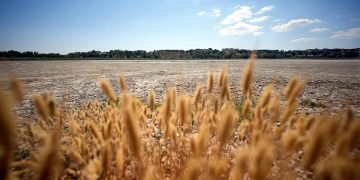 Scorching heat Europe parched, rivers dried up—has climate catastrophe begun