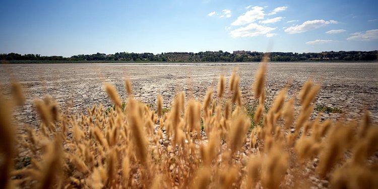 Scorching heat Europe parched, rivers dried up—has climate catastrophe begun