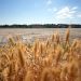 Scorching heat Europe parched, rivers dried up—has climate catastrophe begun