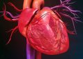 Stem cell therapy improves heart function in 90% of heart failure patients.