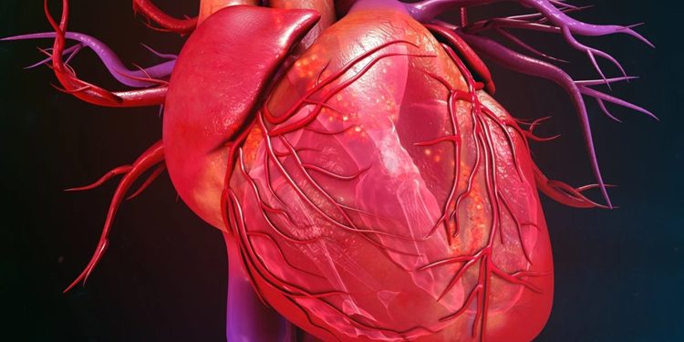 Stem cell therapy improves heart function in 90% of heart failure patients.