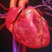 Stem cell therapy improves heart function in 90% of heart failure patients.