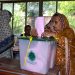 Third phase of Azad Kashmir elections, polling in Bagh and Haveli Kahuta
