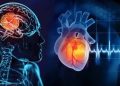 Why is caution necessary for stroke patients during the rainy season